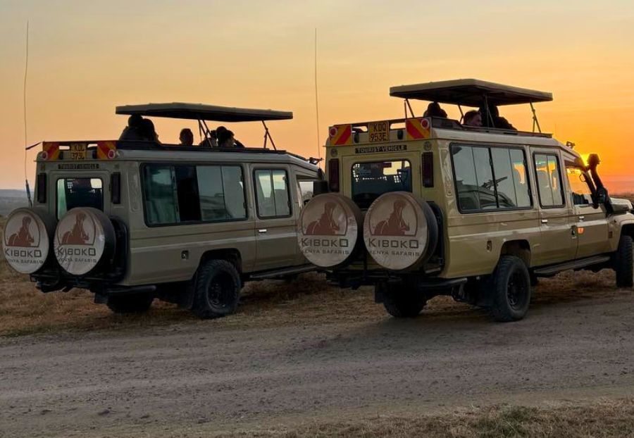 Safari consultant planning an itinerary with a couple